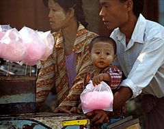 Die Zuckerwatte-Familie