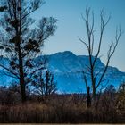 Die Zugspitze im Blick