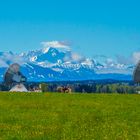 Die Zugspitze - im Blickfeld