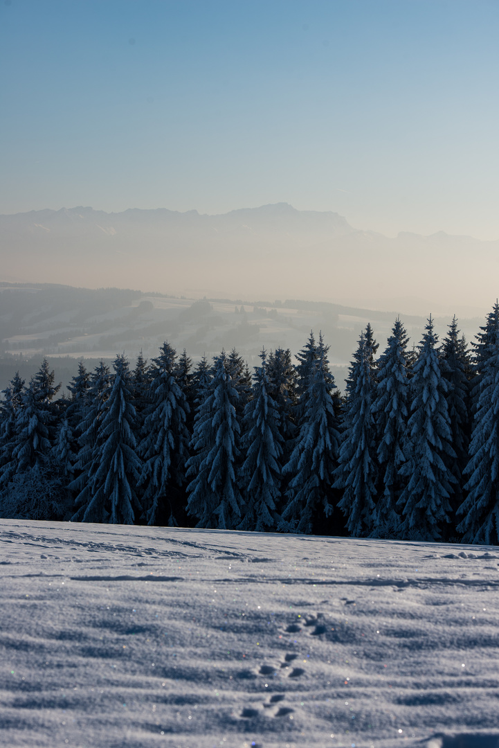 Die Zugspitze vom Hohenpeißenberg