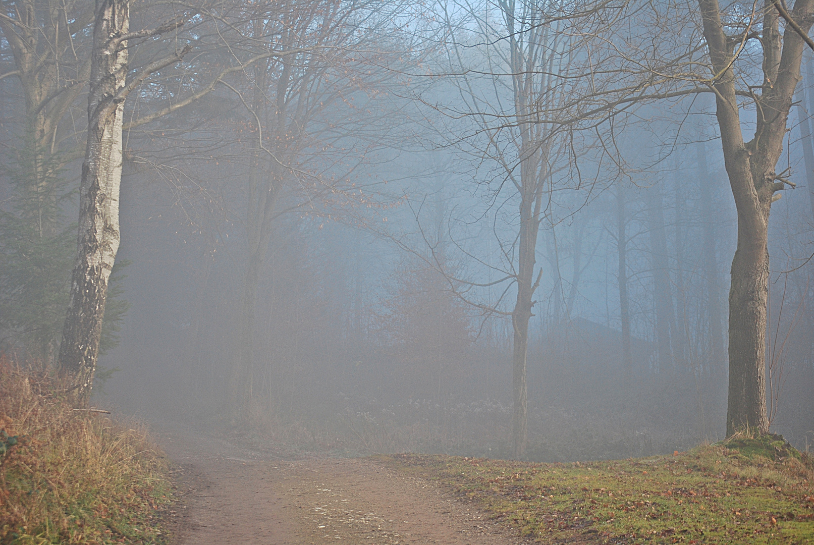 Die Zukunft liegt im Nebel...