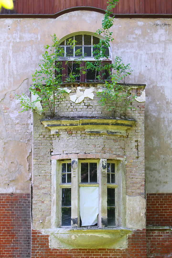 Die zurückeroberte Natur