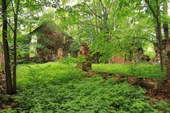 Die zurückkehrende Natur