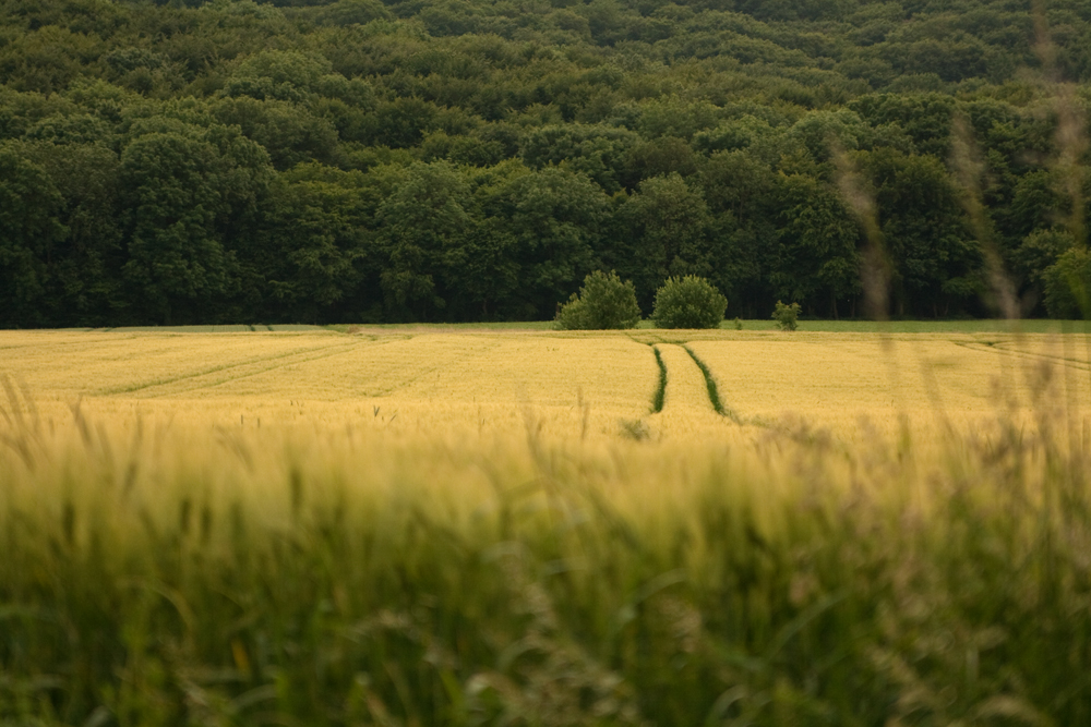 Die ZWEI am Berg