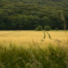 Die ZWEI am Berg