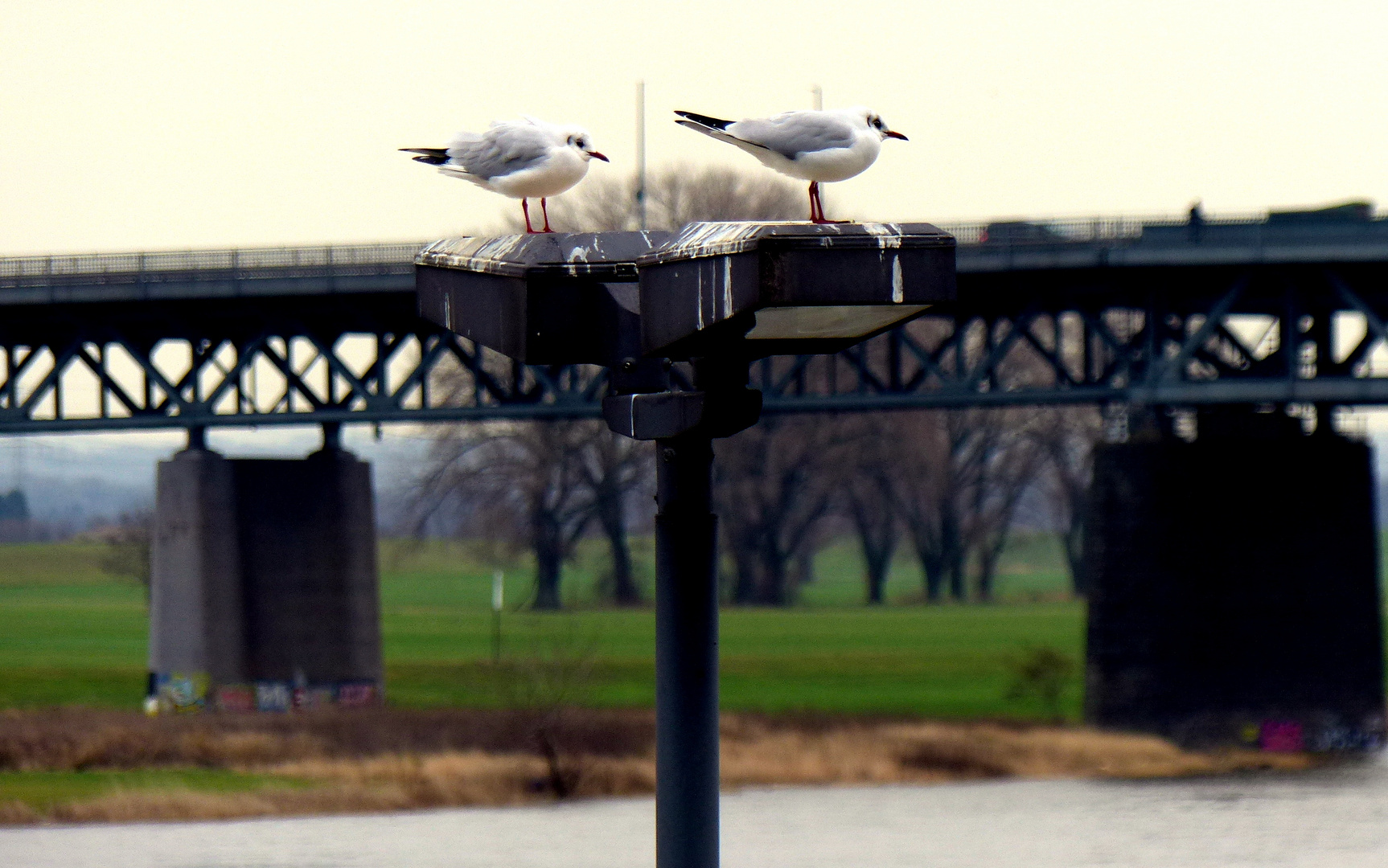 Die zwei am Rhein