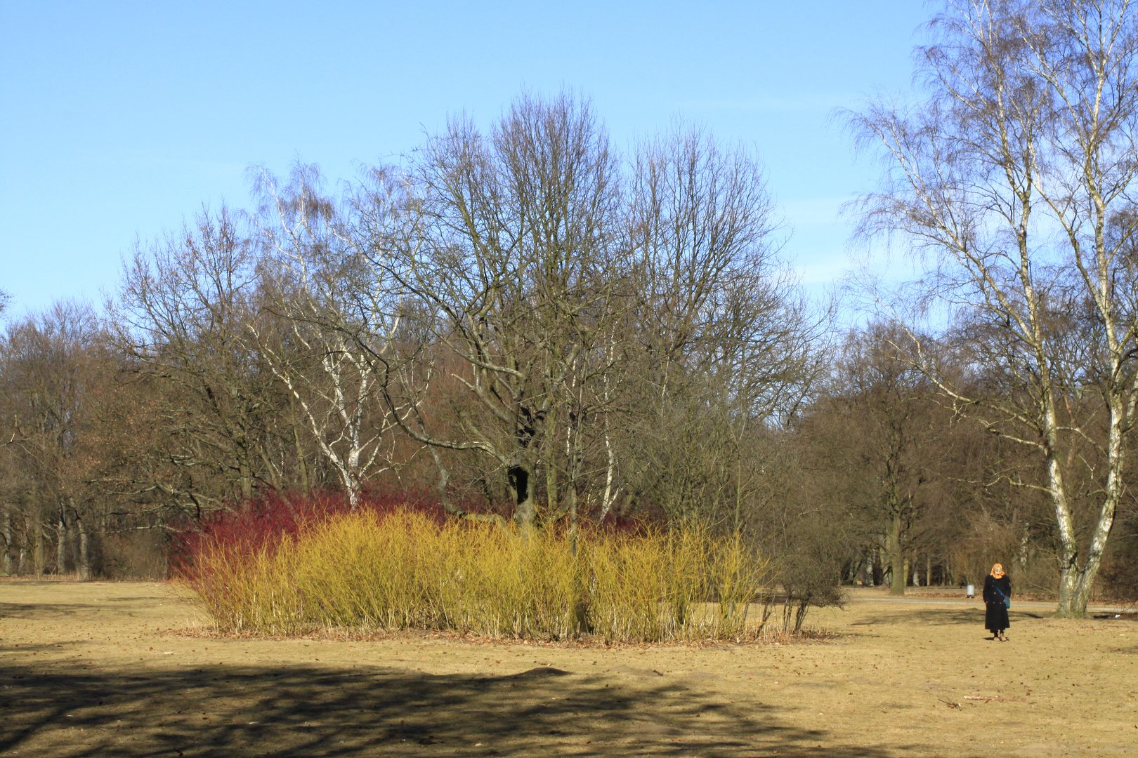 Die Zwei Farben