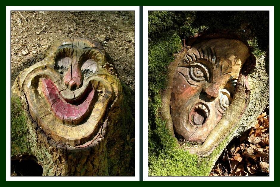 die zwei Gesichter des Waldes