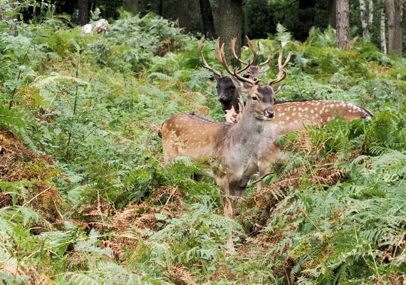 Die zwei Hübschen ….