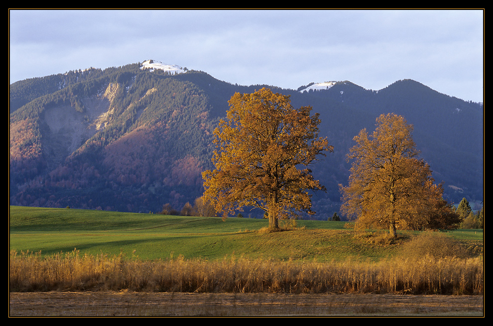 "Die Zwei" im Herbst