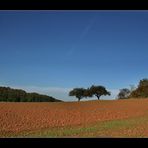 Die Zwei im Herbst