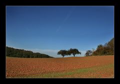 Die Zwei im Herbst