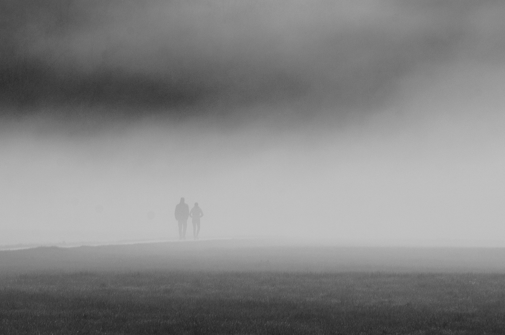 Die Zwei im Nebel 