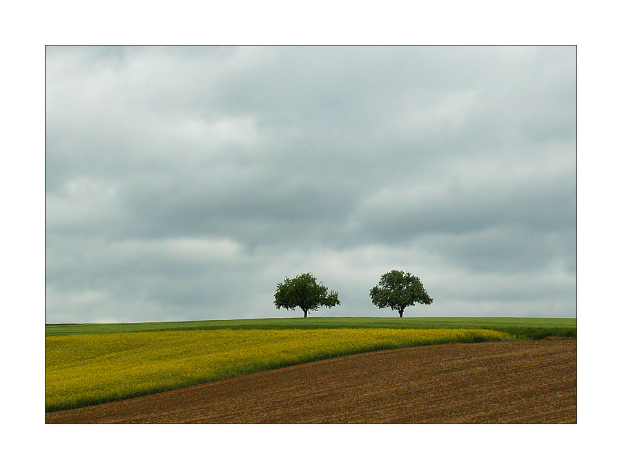 "Die Zwei" im Regen