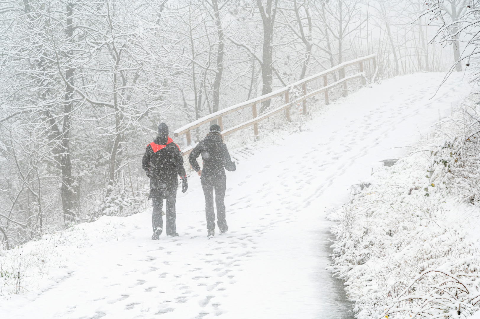 Die Zwei im Schnee