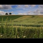 "Die Zwei" im Sommer