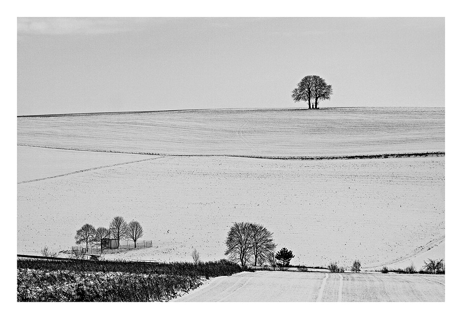 "Die Zwei" im Winter (black-white-version)