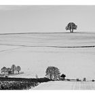 "Die Zwei" im Winter (black-white-version)