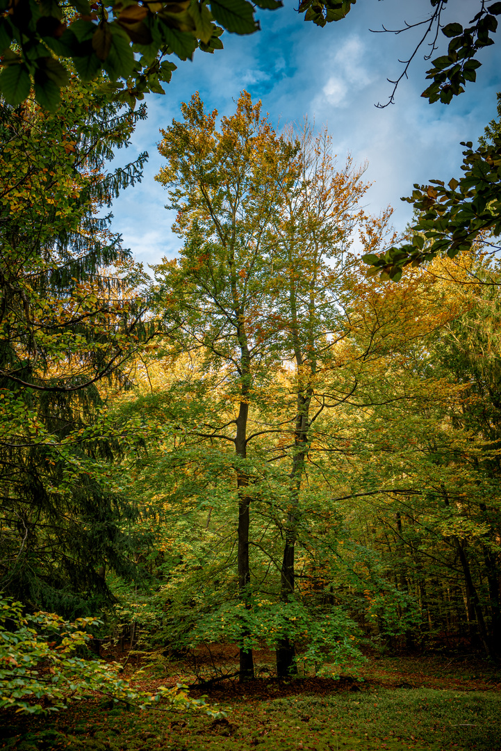 Die Zwei und das Gold des Herbstes