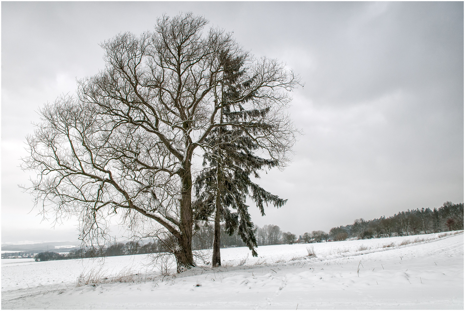 Die zwei ungleichen Brüder im Winter