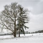 Die zwei ungleichen Brüder im Winter