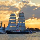 Die Zweimast-Brigg "Mercedes" läuft zur Hanse Sail 2014 ein