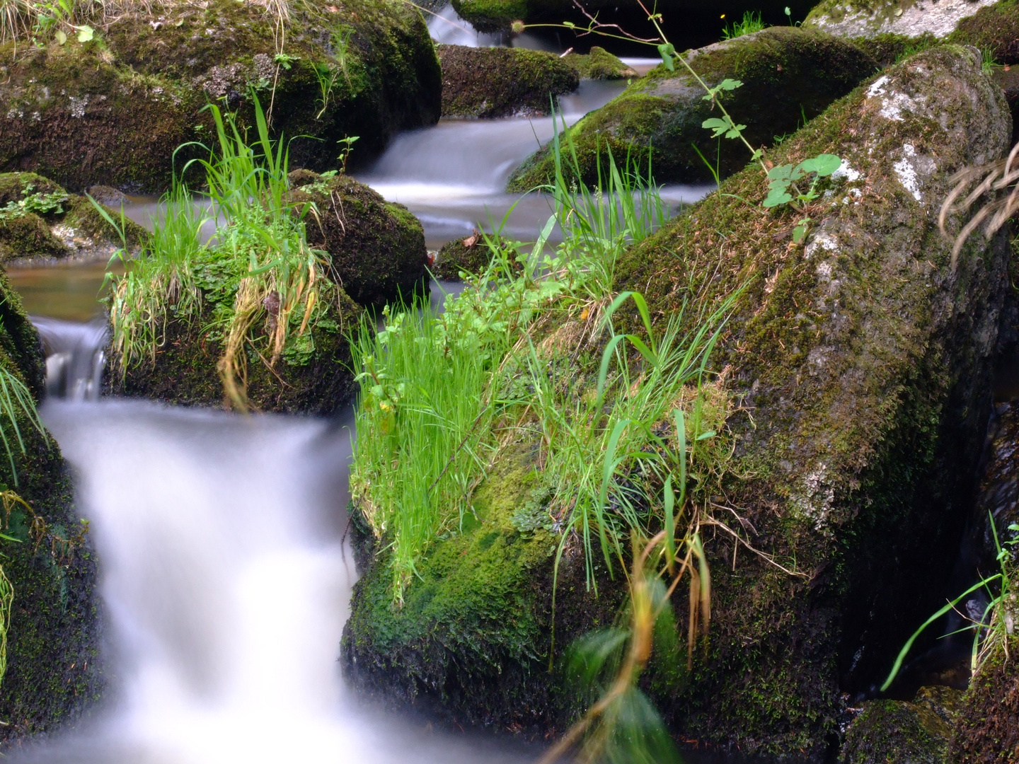 Die "Zwettl" nach der Klauskapelle