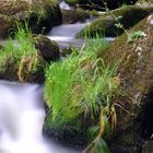 Die "Zwettl" nach der Klauskapelle