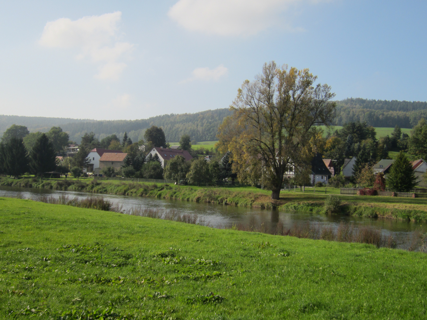 die Zwickauer Mulde