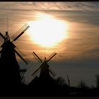 Die Zwillinge von Greetsiel im Gegenlicht