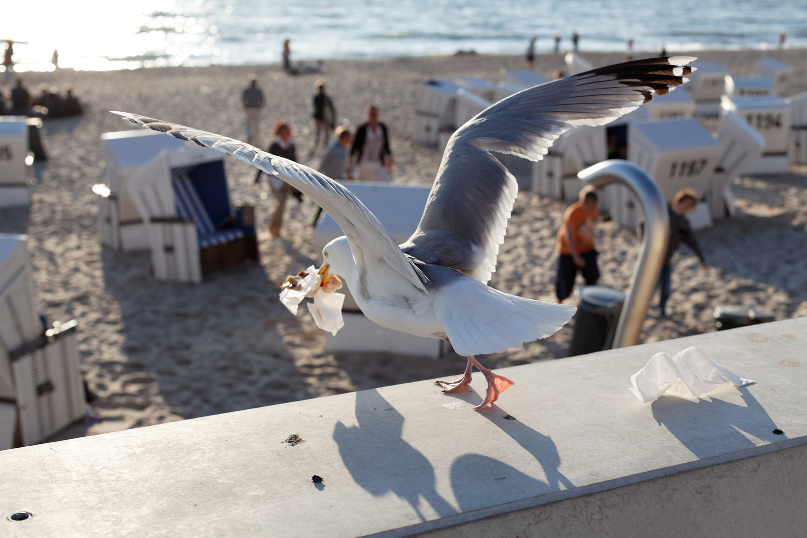 Dieb in Westerland