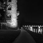 Diebesturm Bad Säckingen, im Hintergrund die alte Holzbrücke