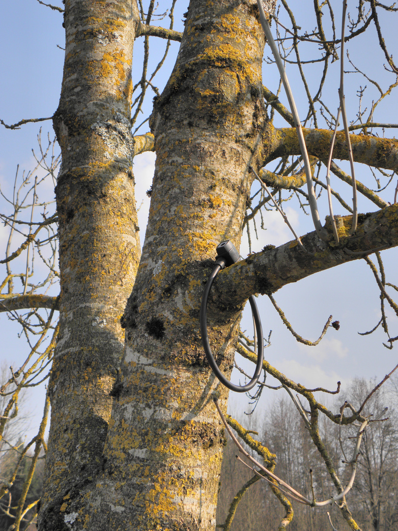 Diebstahlschutz von Mutter Natur