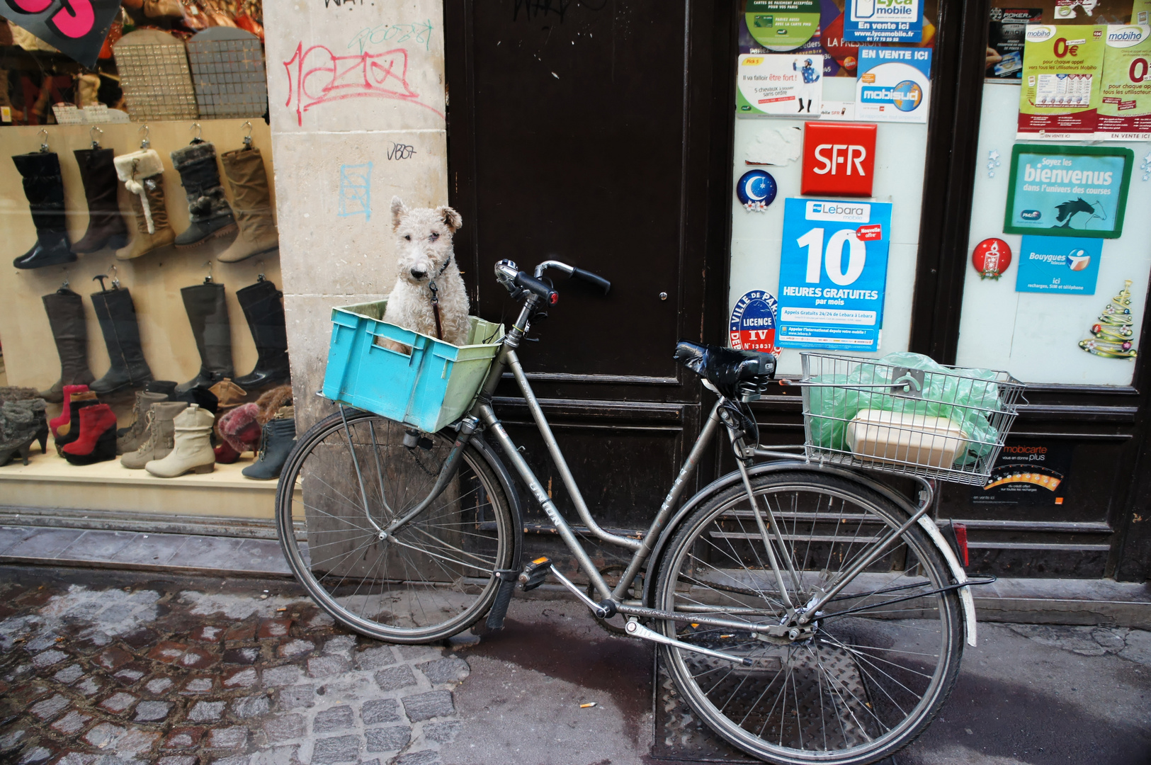 Diebstahlsicherung à la Paris