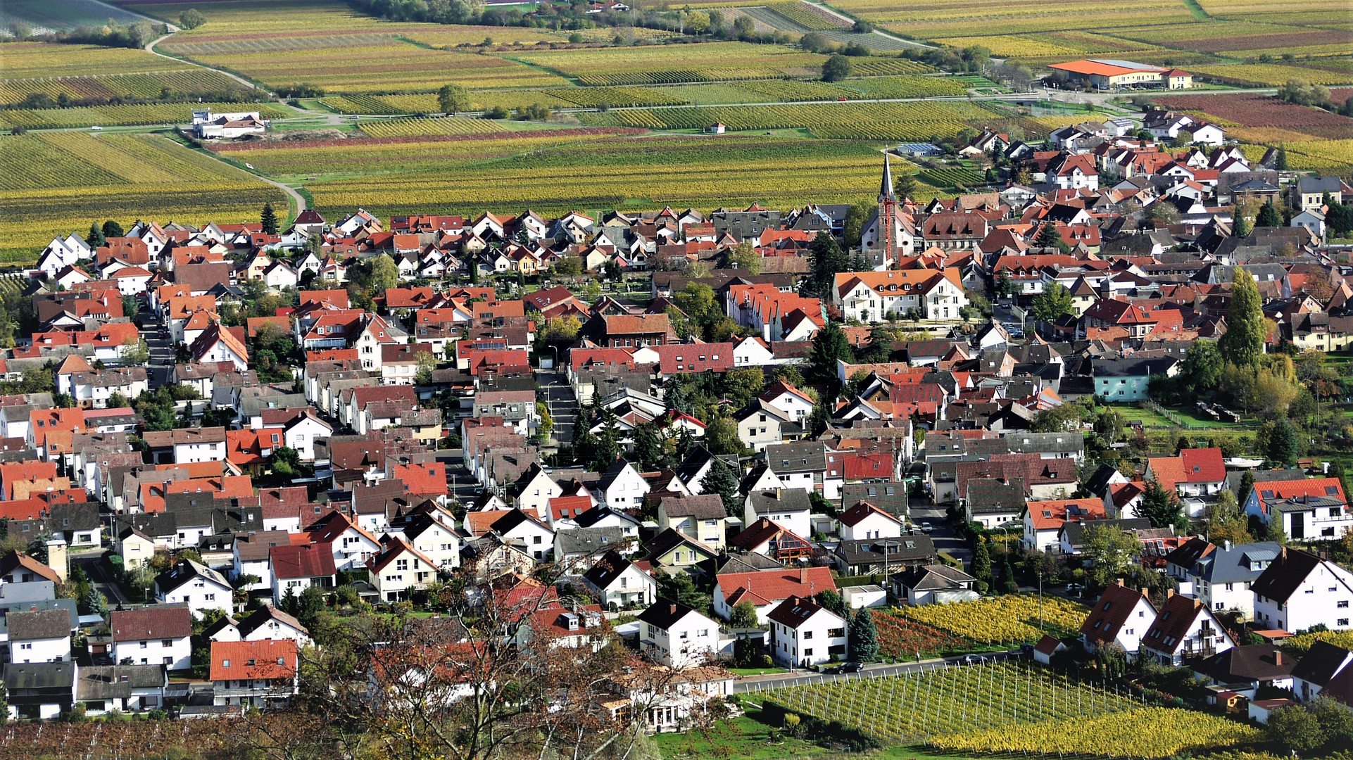 Diedesfeld bei Neustadt an der Weinstraße