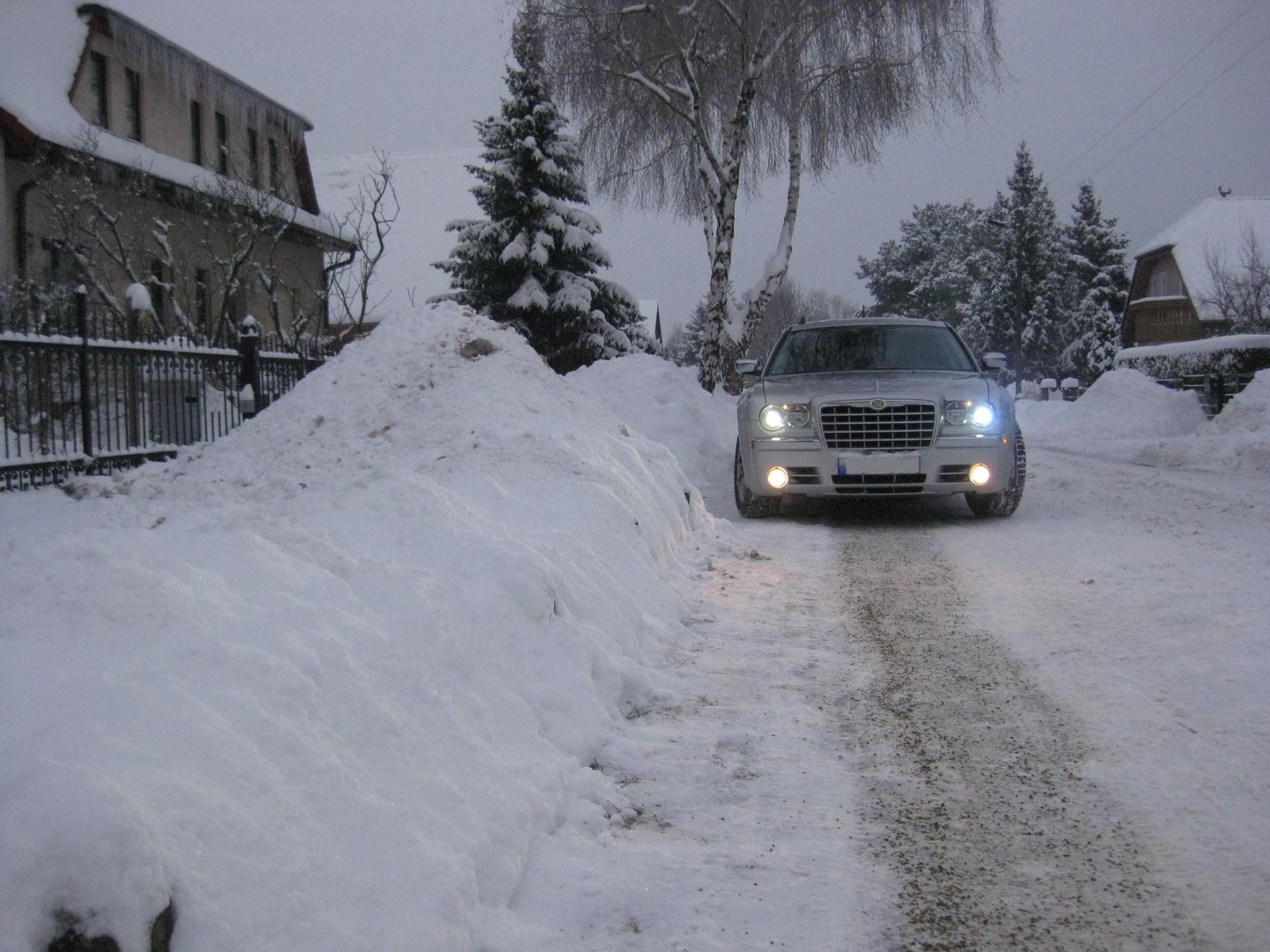 "DieDicke" im Schnee...