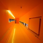 Die_Farbe_Orange