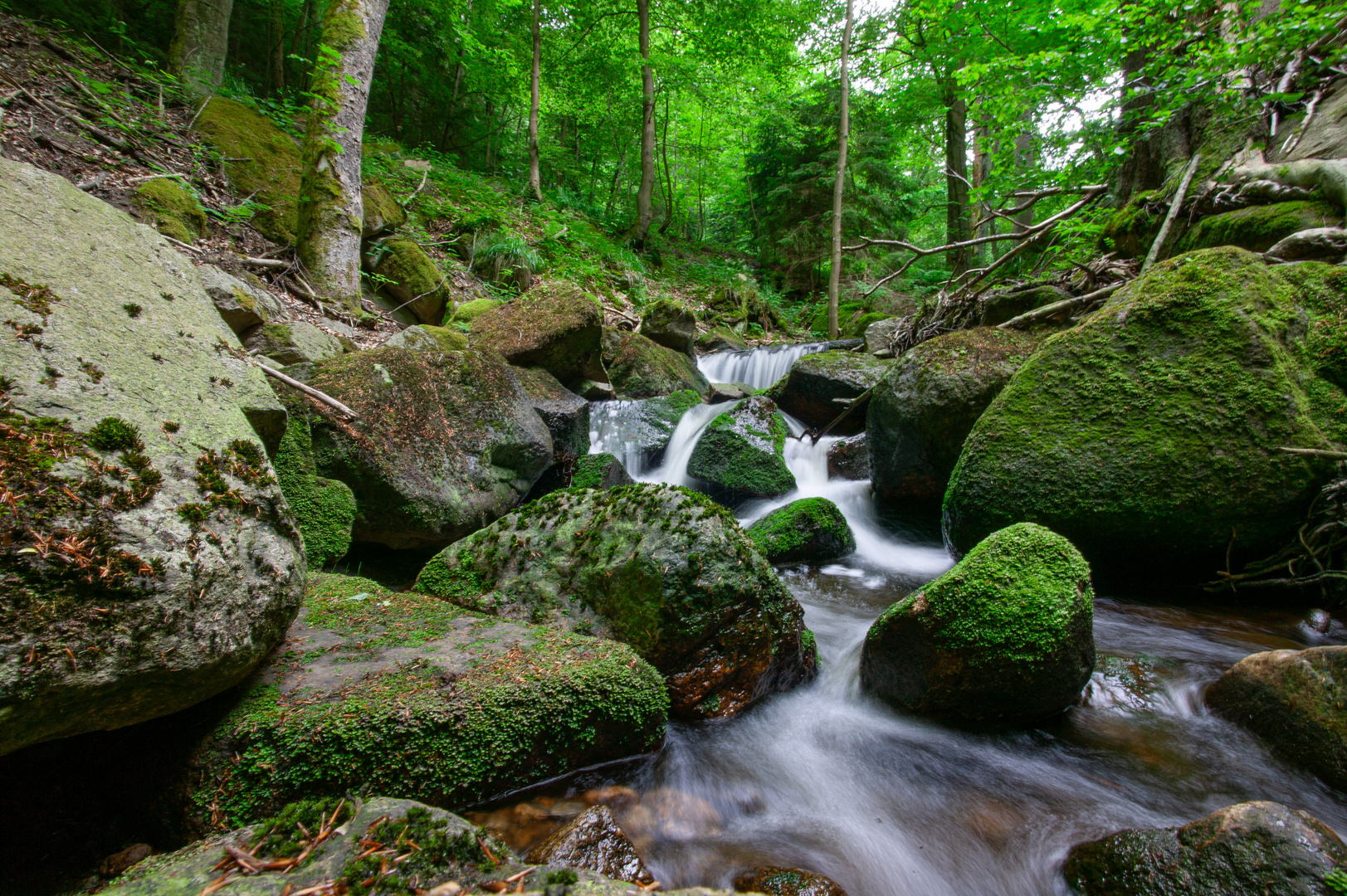 Die_Ilse_auf_dem_Weg_zum_Brocken-9331