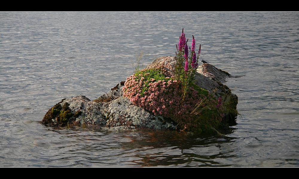 Die_kleine_Insel_im_Vättern