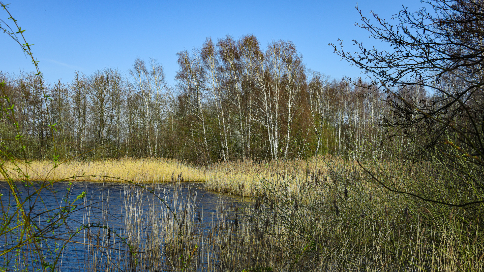 Dieksee bei Lingen