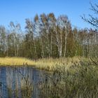 Dieksee bei Lingen