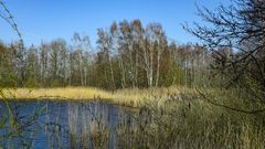 Dieksee bei Lingen