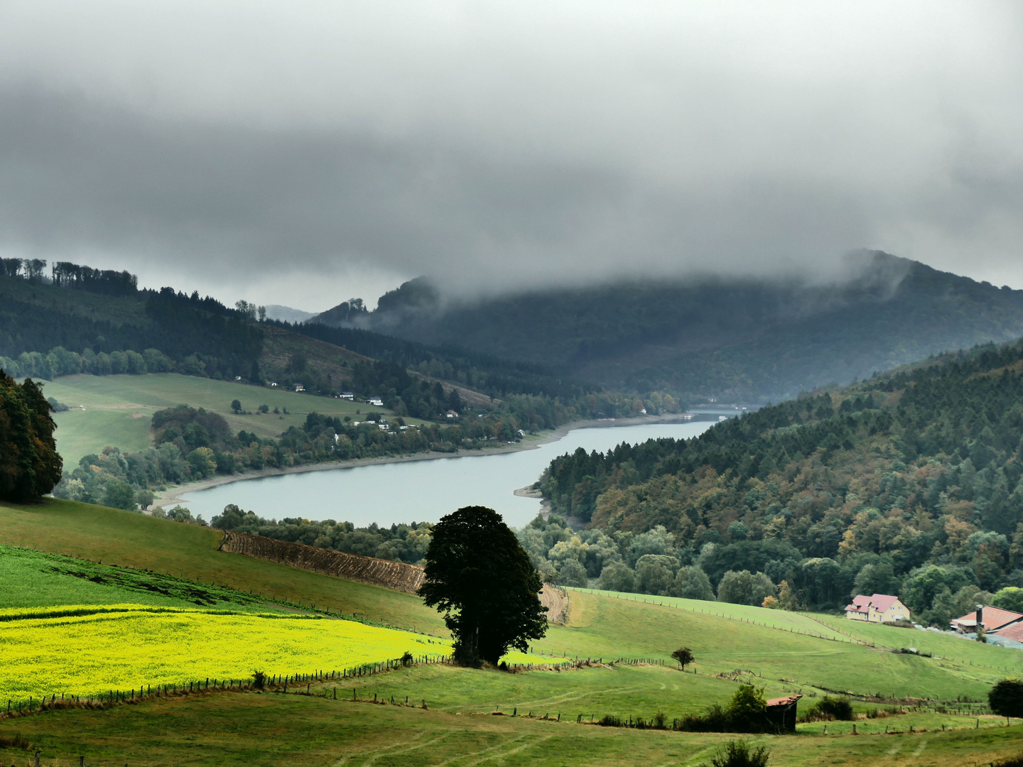 Diemelsee Sauerland  Foto Bild landschaft sauerland  