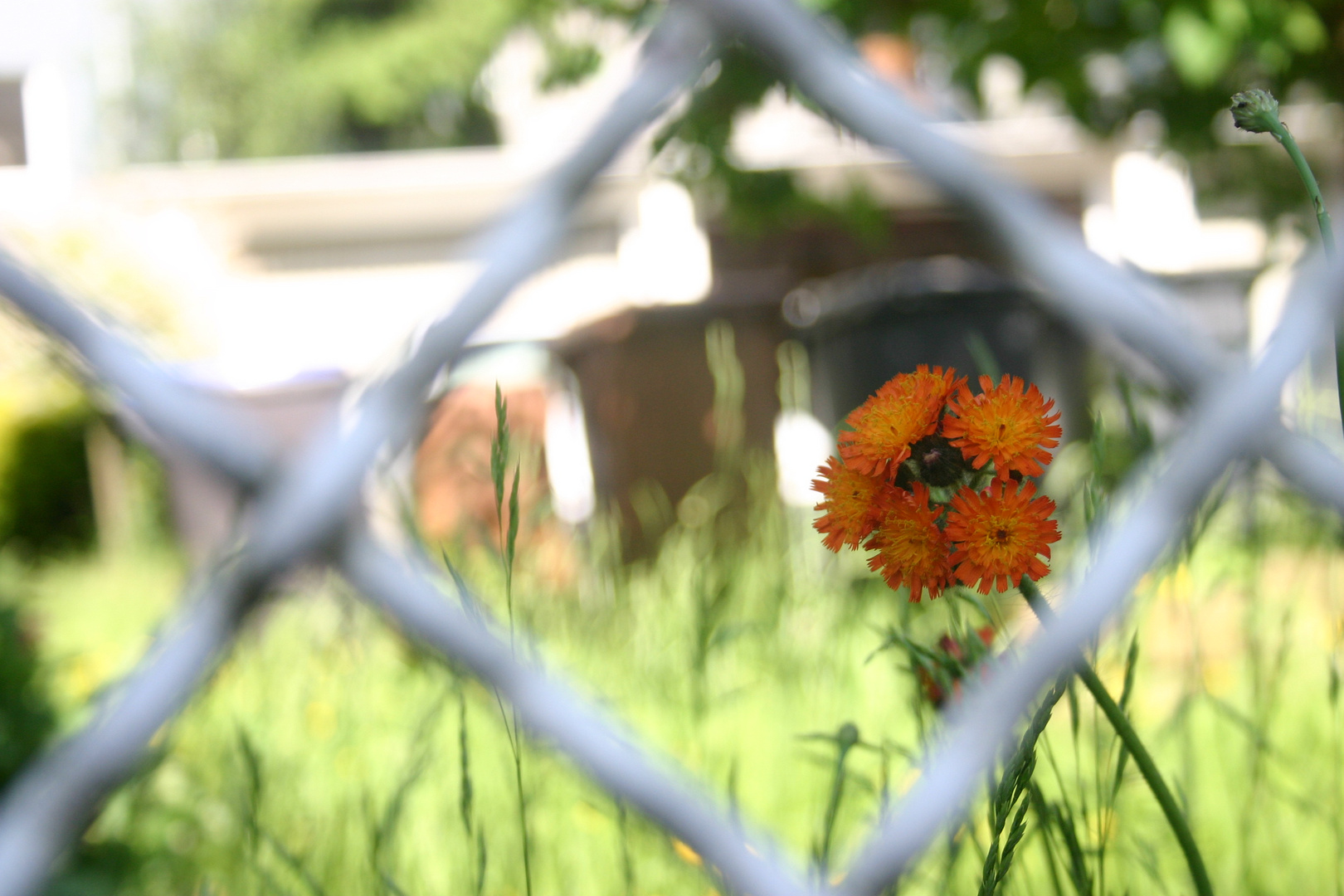 DieNatur hinter Gittern