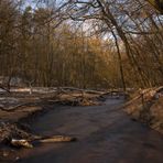 Dienstadter Weiher | Saarbrücken