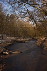 Dienstadter Weiher | Saarbrücken