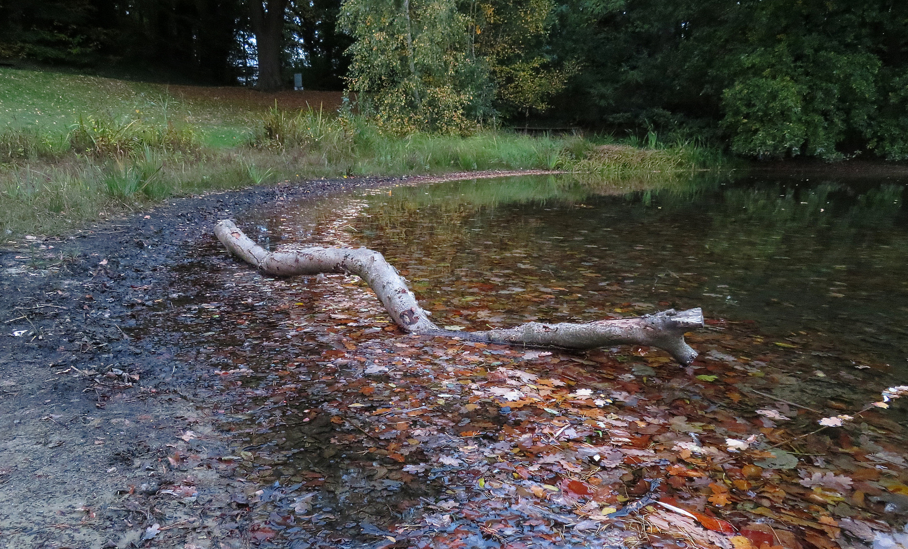  Dienstag am See ...