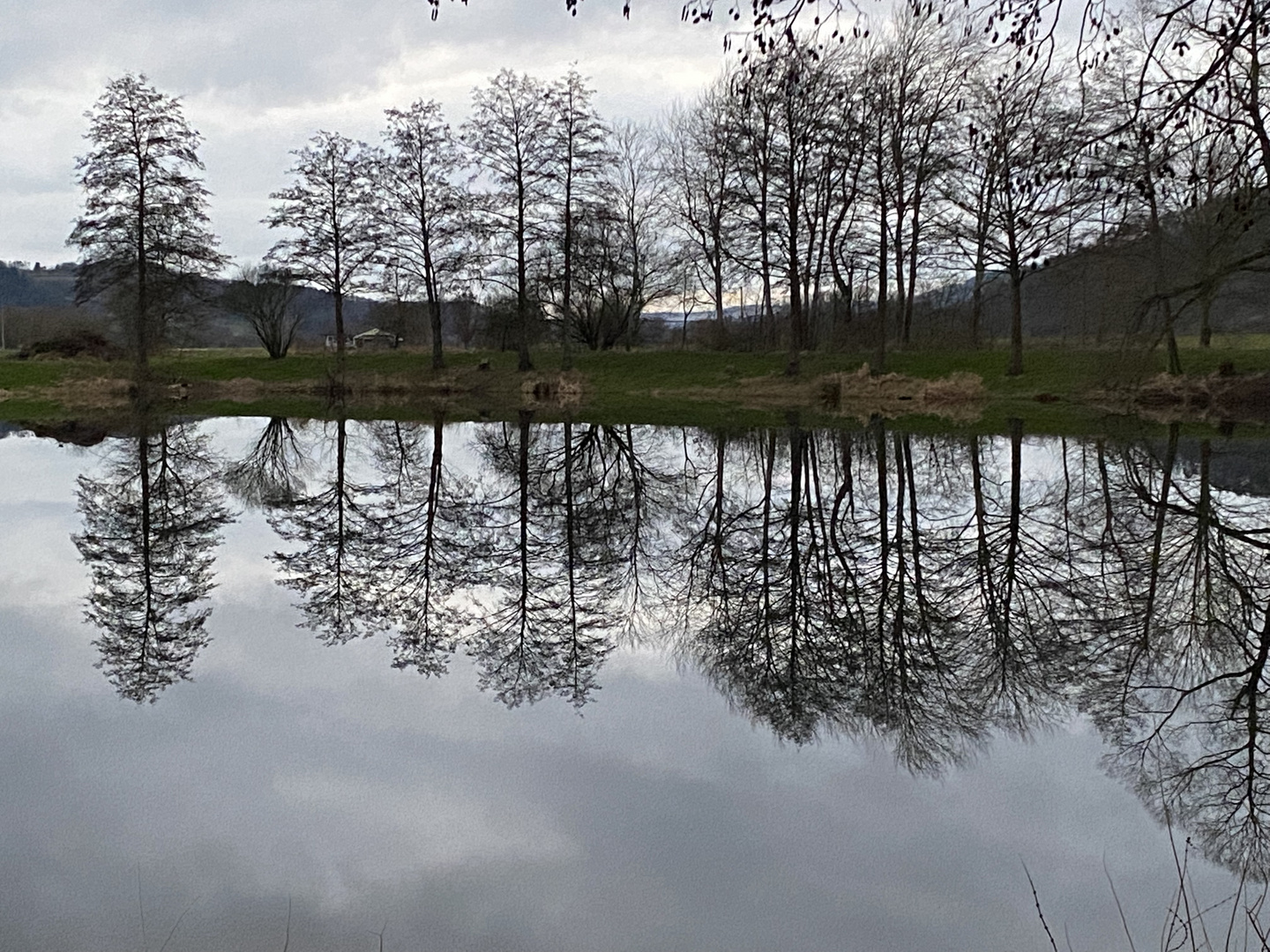 Dienstag ist Spiegeltag 01.03.2022Alter Kiesteich  