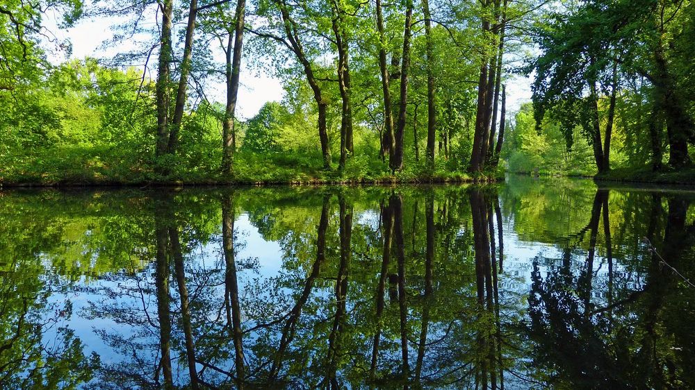 Dienstag ist Spiegeltag