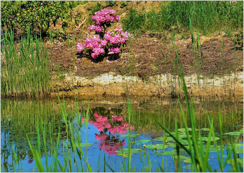 Dienstag ist Spiegeltag 04.06.24